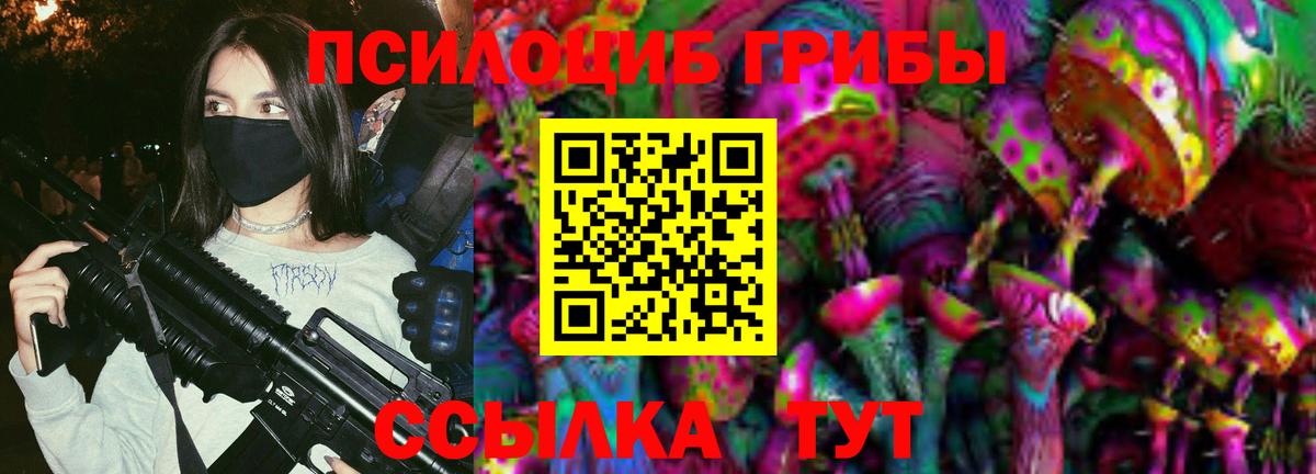 Галлюциногенные грибы Psilocybine cubensis Киров