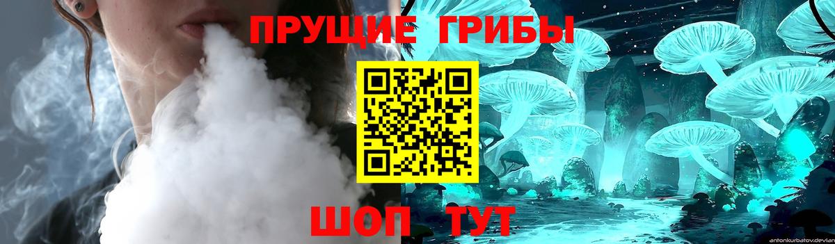 Галлюциногенные грибы MAGIC MUSHROOMS  Вход с VPN  Киров 
